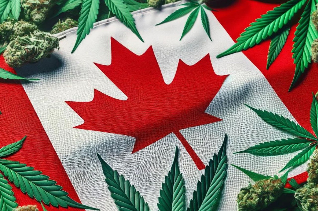 Canadian flag and cannabis leaves