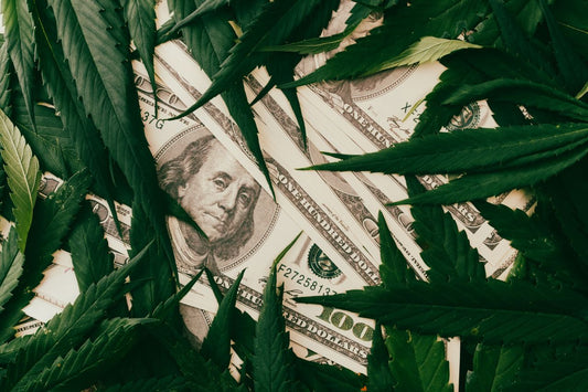 Dollar and cannabis leaves