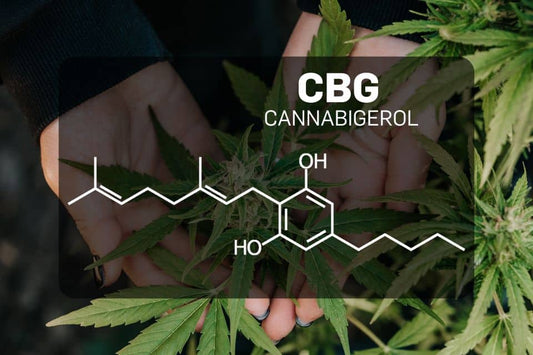 Chemical structure of CBG (Cannabigerol)