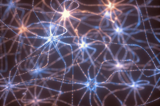 Cannabis in ALS Treatment