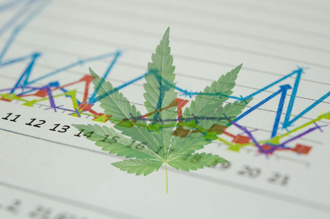 Medical Cannabis: Global Rise and Impact