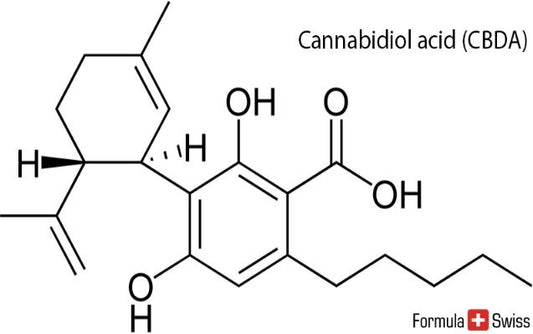 What is CBD (Cannabidiol)?