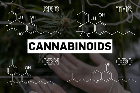Chemical structures of multiple cannabinoids including CBD, THC, CBN and CBC.