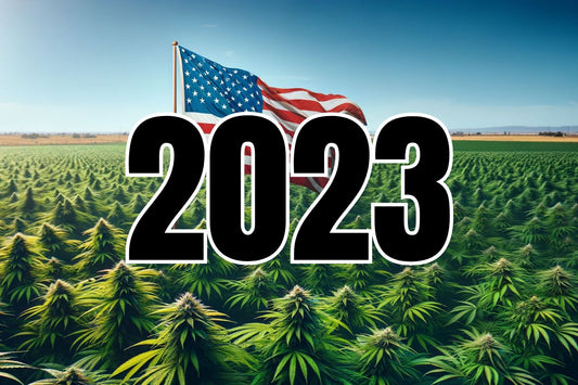 2023 Cannabis Policy Reforms