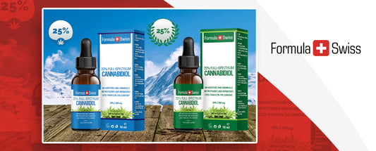 2.500 mg CBD oil in hempseed or olive oil now available