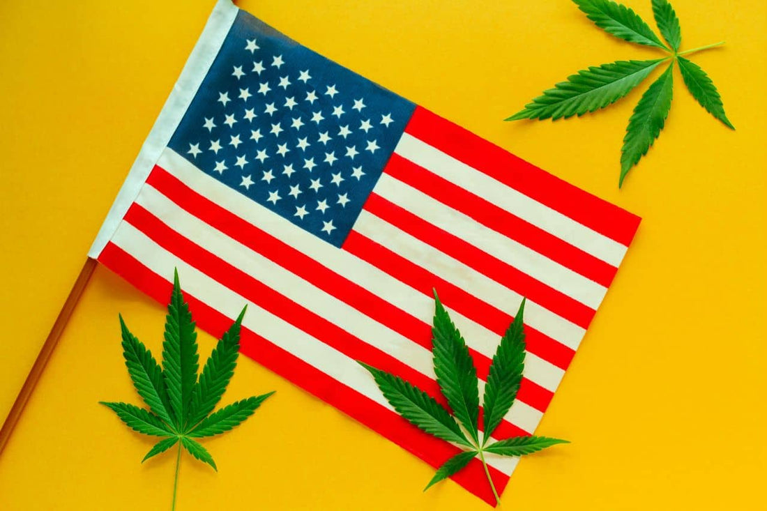 American flag with cannabis leaves