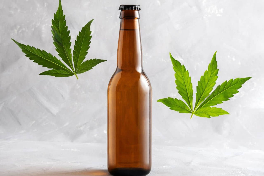 Cannabis leaves and a bottle of beer