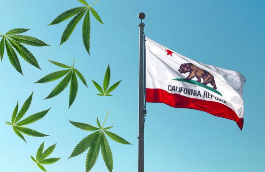 Waving flag of California and cannabis leaves