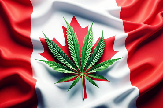 Cannabis leaf in front of Canadian flag