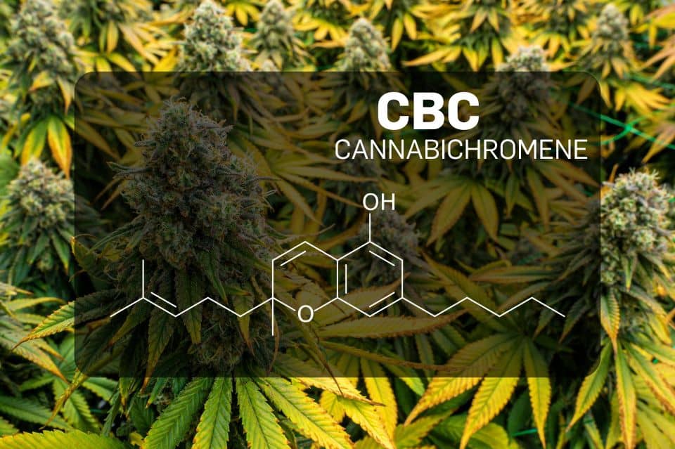 Chemical structure of Cannabichromene (CBC)
