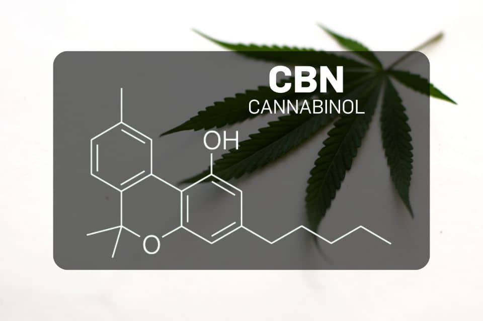 Chemical structure of CBN (Cannabinol)