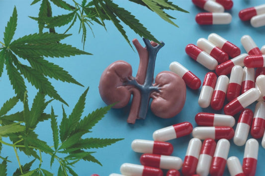 Cannabis, Kidney, Prescription Drugs