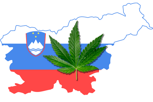 Debunking Cannabis Misinformation in Slovenia