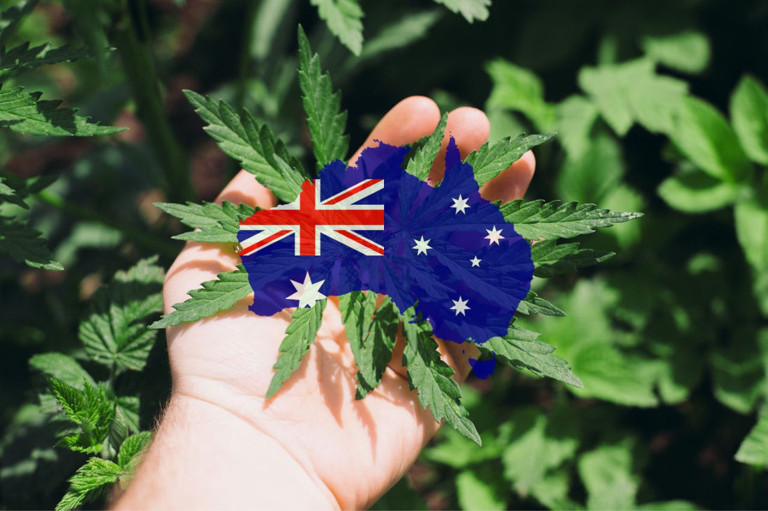 Cannabis in Australia