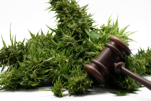 Comparing Cannabis Laws
