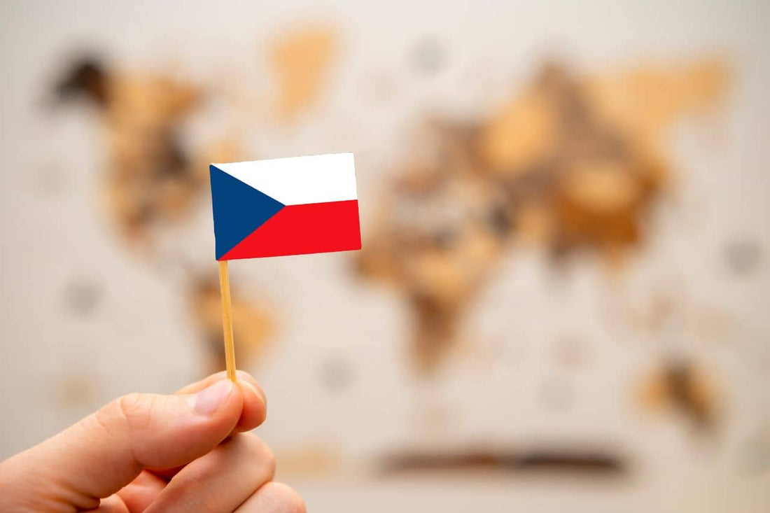 hand holding a Czech flag