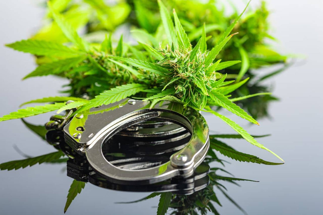 Cannabis and handcuffs 