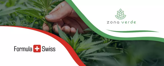 Formula Swiss partners with the leading cannabis retailer in Romania