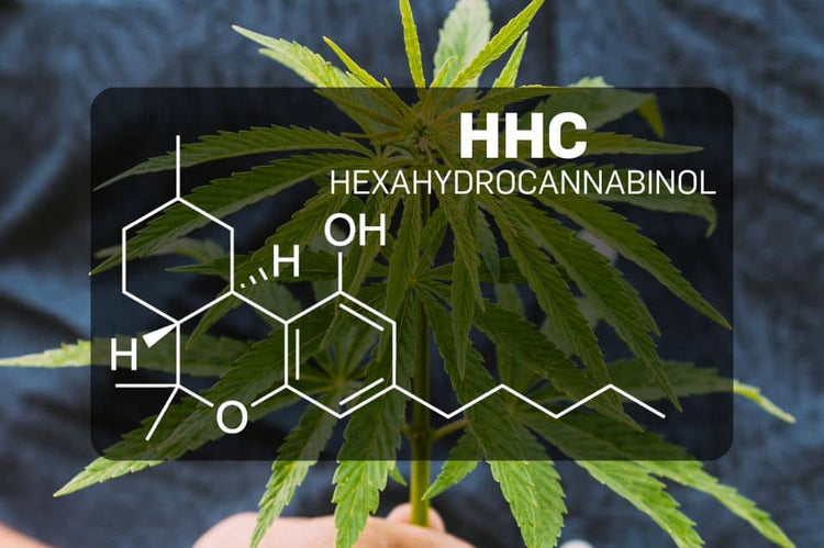 What is HHC (hexahydrocannabinol)? Uses, effects and legality