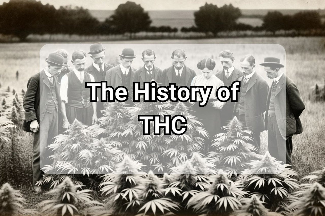 The History of THC