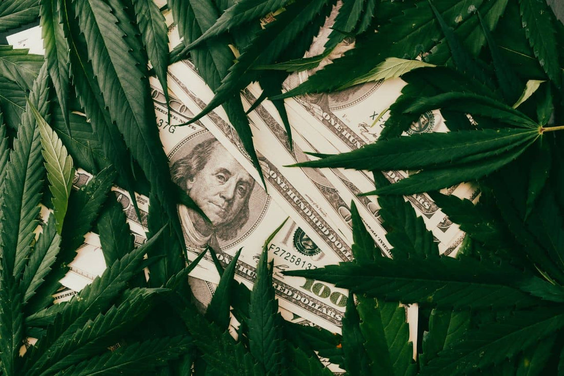 Hemp leaves and dollars