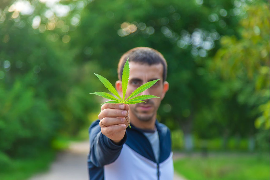 Israel's Medical Cannabis Policy: A Shift Towards Increased Access