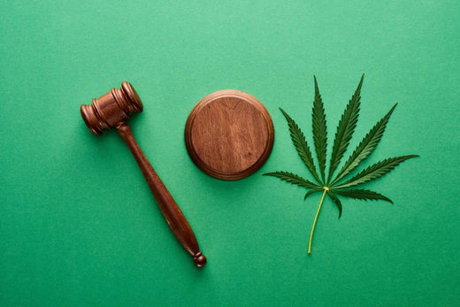 gavel and cannabis leaf