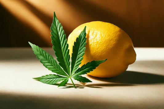 A lemon and a cannabis leaf