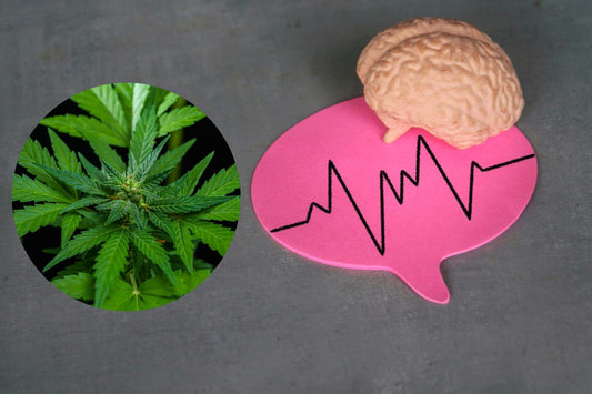 Cannabis for Neurological Treatment