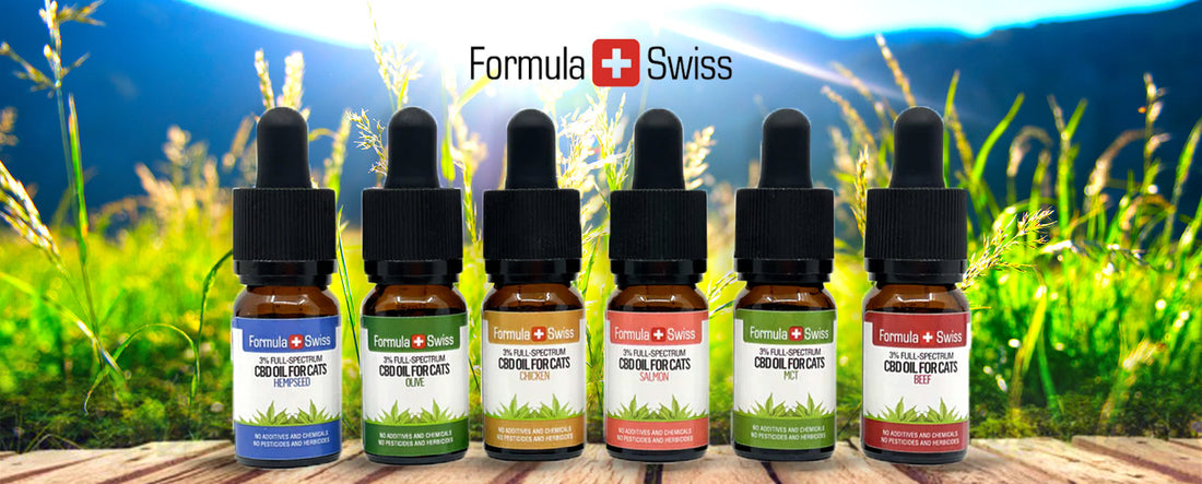 New CBD oils for cats