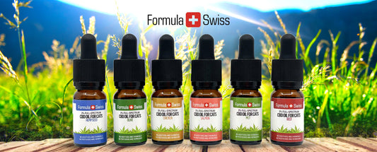 New CBD oils for cats