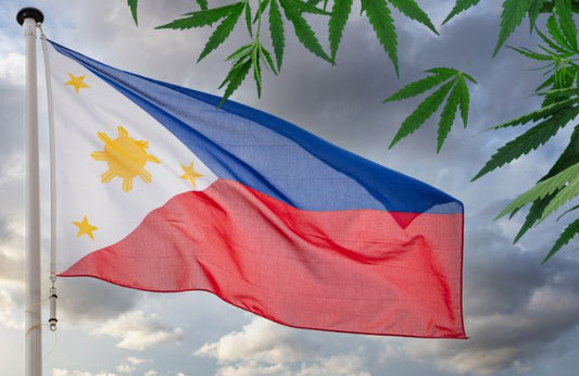 A waving Philippine flag and cannabis leaves