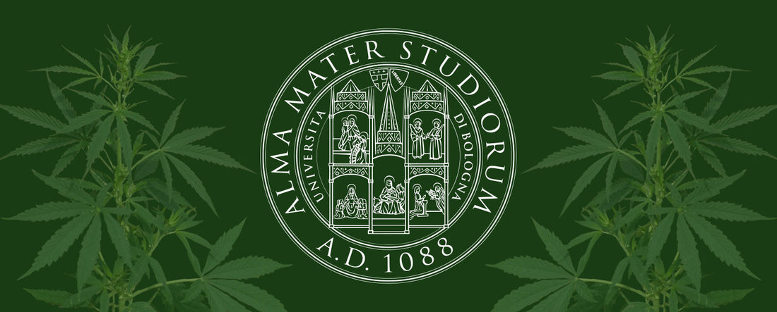 Research collaboration with University of Bologna