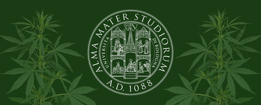 Research collaboration with University of Bologna