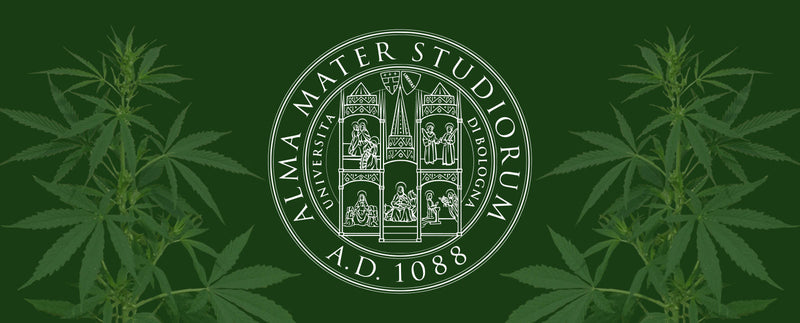 Research collaboration with the University of Bologna
