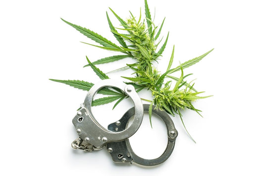 cannabis and a handcuffs