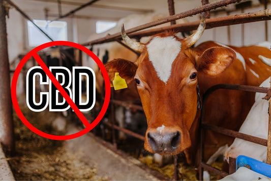 Ban CBD sign on a dairy farm