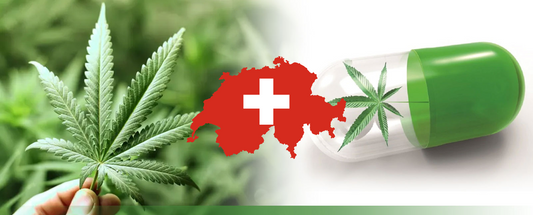 Switzerland legalise recreational and medical cannabis usage