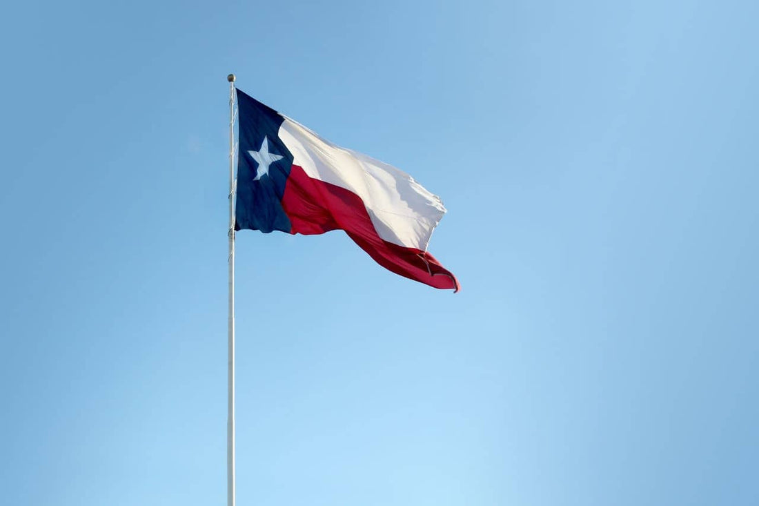 flag of Texas waving