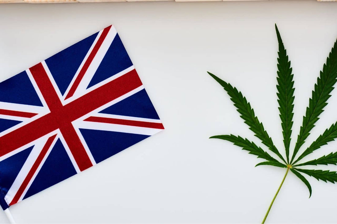 cannabis leaf and UK flag