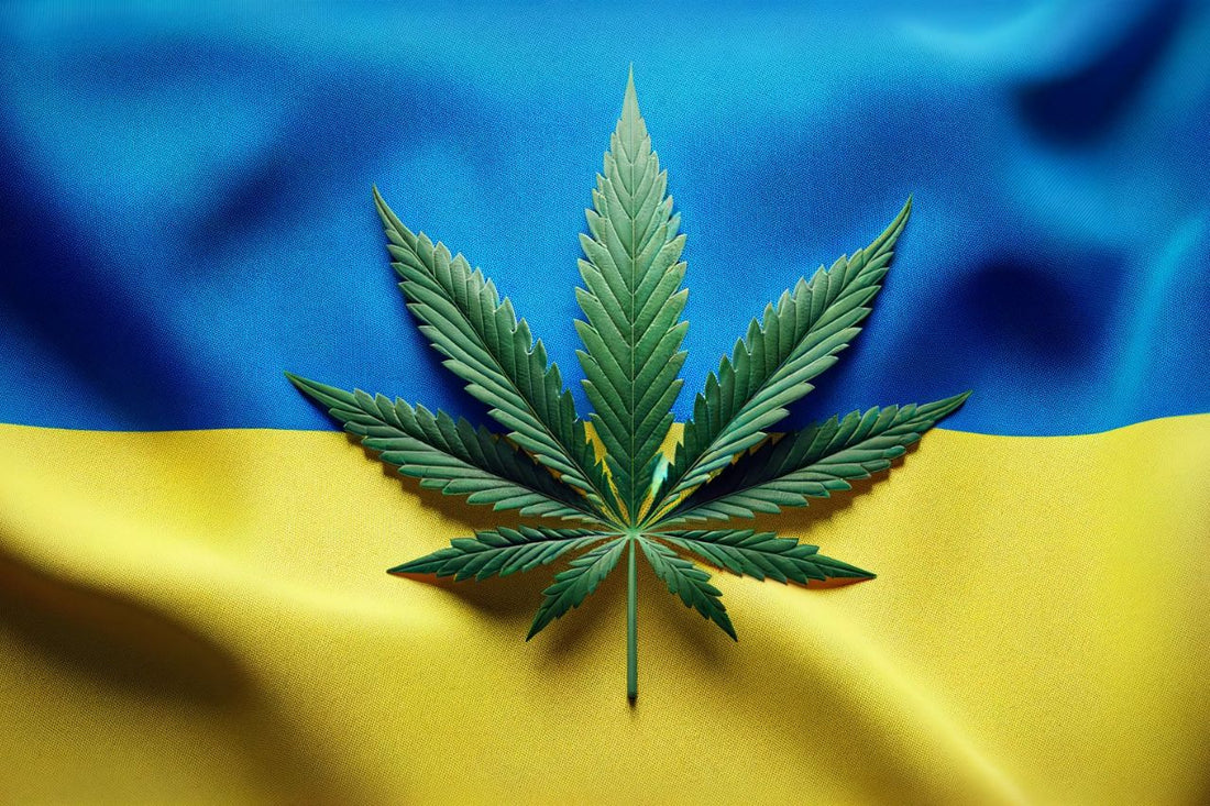 Ukranian flag and cannabis leaf