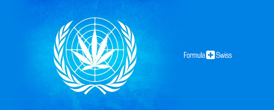 United Nations Panel releases first-ever review of marijuana