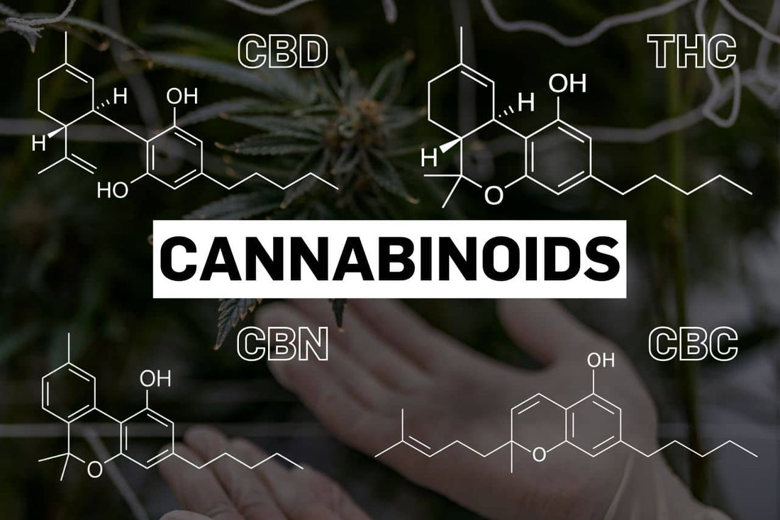 Chemical structures of multiple cannabinoids including CBD, THC, CBN and CBC.
