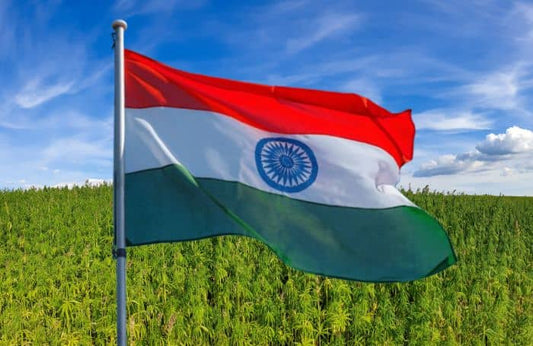 Waving flag of India on a hemp field