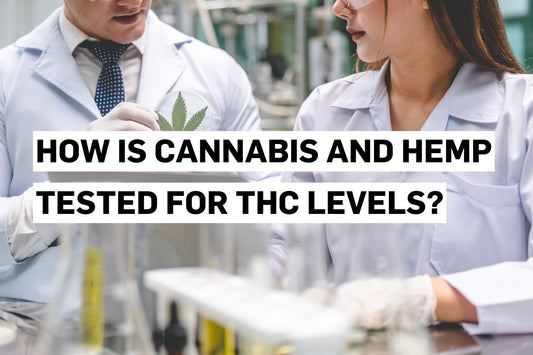 How is Cannabis and Hemp Tested for THC Levels?