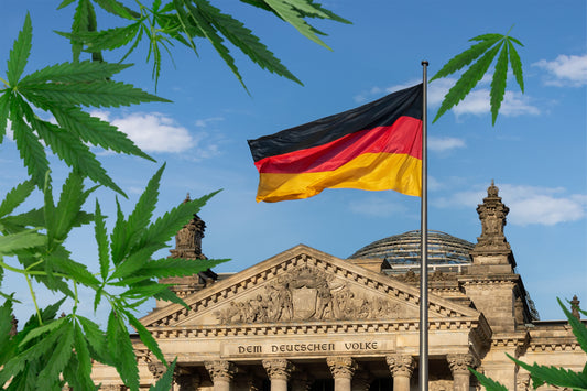 Cannabis leaf in front of the Reichstag building