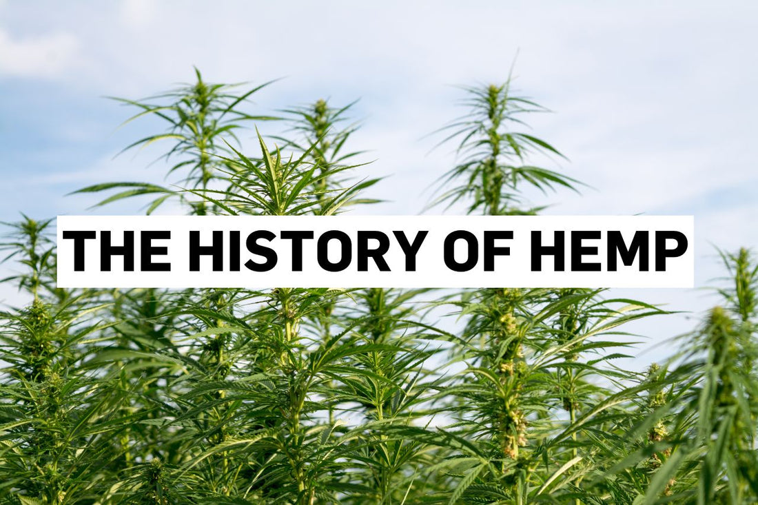 The History of Hemp