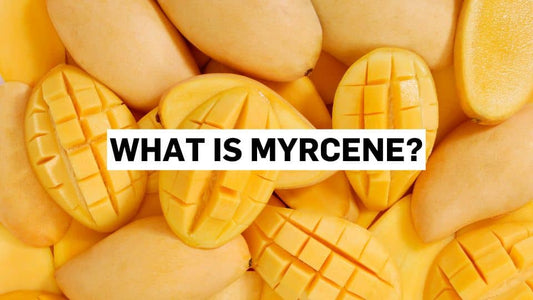 What is myrcene