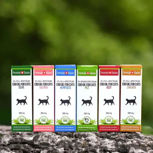 CBD Oil for Cats