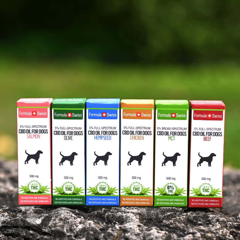 Buy CBD oil for pets
